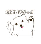 HONEYPOT WHITE BEAR（個別スタンプ：28）