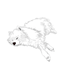 SAMOYED LOVE（個別スタンプ：10）