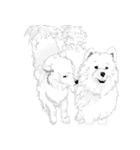 SAMOYED LOVE（個別スタンプ：21）