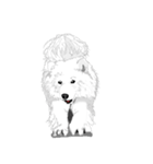 SAMOYED LOVE（個別スタンプ：25）