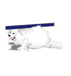 SAMOYED LOVE（個別スタンプ：28）