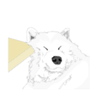 SAMOYED LOVE（個別スタンプ：32）