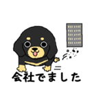 ブラックタンの子犬（個別スタンプ：16）