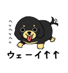 ブラックタンの子犬（個別スタンプ：19）