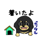 ブラックタンの子犬（個別スタンプ：28）