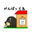 ブラックタンの子犬（個別スタンプ：40）