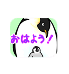 ペンギンゆーとぴあ（個別スタンプ：9）