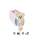 ポメたぬき（個別スタンプ：3）