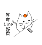 some cat with orange（個別スタンプ：18）