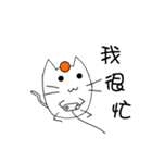 some cat with orange（個別スタンプ：23）