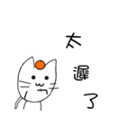 some cat with orange（個別スタンプ：25）