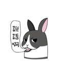 The rabbit can moving！！！（個別スタンプ：17）