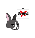 The rabbit can moving！！！（個別スタンプ：23）