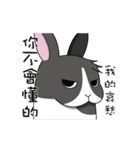 The rabbit can moving！！！（個別スタンプ：24）