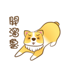 bored dog（個別スタンプ：36）