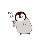 眉ペンギン クンク（個別スタンプ：2）