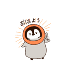 眉ペンギン クンク（個別スタンプ：4）