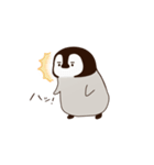 眉ペンギン クンク（個別スタンプ：5）