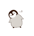 眉ペンギン クンク（個別スタンプ：6）