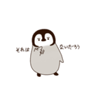 眉ペンギン クンク（個別スタンプ：28）