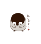 眉ペンギン クンク（個別スタンプ：39）