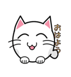 ねこねこあざらく（個別スタンプ：1）