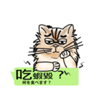 The cat tells you a mess(Common Talk)（個別スタンプ：1）