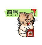 The cat tells you a mess(Common Talk)（個別スタンプ：3）