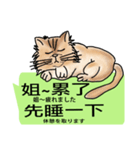 The cat tells you a mess(Common Talk)（個別スタンプ：4）