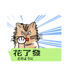 The cat tells you a mess(Common Talk)（個別スタンプ：5）