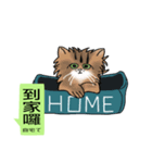 The cat tells you a mess(Common Talk)（個別スタンプ：6）