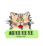 The cat tells you a mess(Common Talk)（個別スタンプ：7）