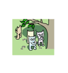 02 Animated Cool Catties (Eng)（個別スタンプ：24）