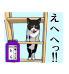 にゃんこ学園(PART5)（個別スタンプ：30）