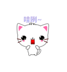 Beiya Cat (Enthusiasm Version)（個別スタンプ：9）