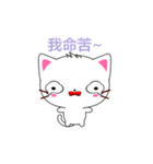 Beiya Cat (Enthusiasm Version)（個別スタンプ：11）