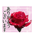 薔薇敬語（個別スタンプ：7）