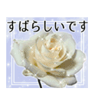 薔薇敬語（個別スタンプ：10）