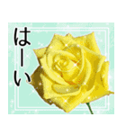 薔薇敬語（個別スタンプ：13）