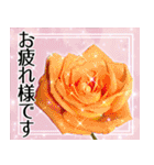 薔薇敬語（個別スタンプ：16）