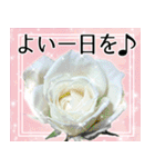 薔薇敬語（個別スタンプ：23）