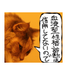 猫が代わりにお伝え その5（個別スタンプ：23）