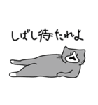 ひげ猫の日常会話（個別スタンプ：16）