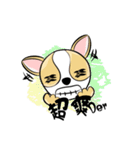 dog (chihuahua)（個別スタンプ：2）