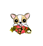 dog (chihuahua)（個別スタンプ：3）