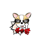 dog (chihuahua)（個別スタンプ：8）