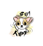 dog (chihuahua)（個別スタンプ：9）