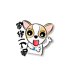 dog (chihuahua)（個別スタンプ：10）