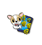 dog (chihuahua)（個別スタンプ：12）