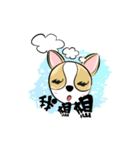 dog (chihuahua)（個別スタンプ：13）